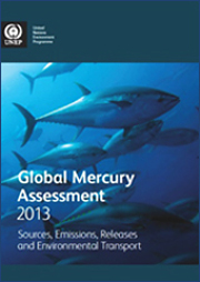 Global Mercury Assessment